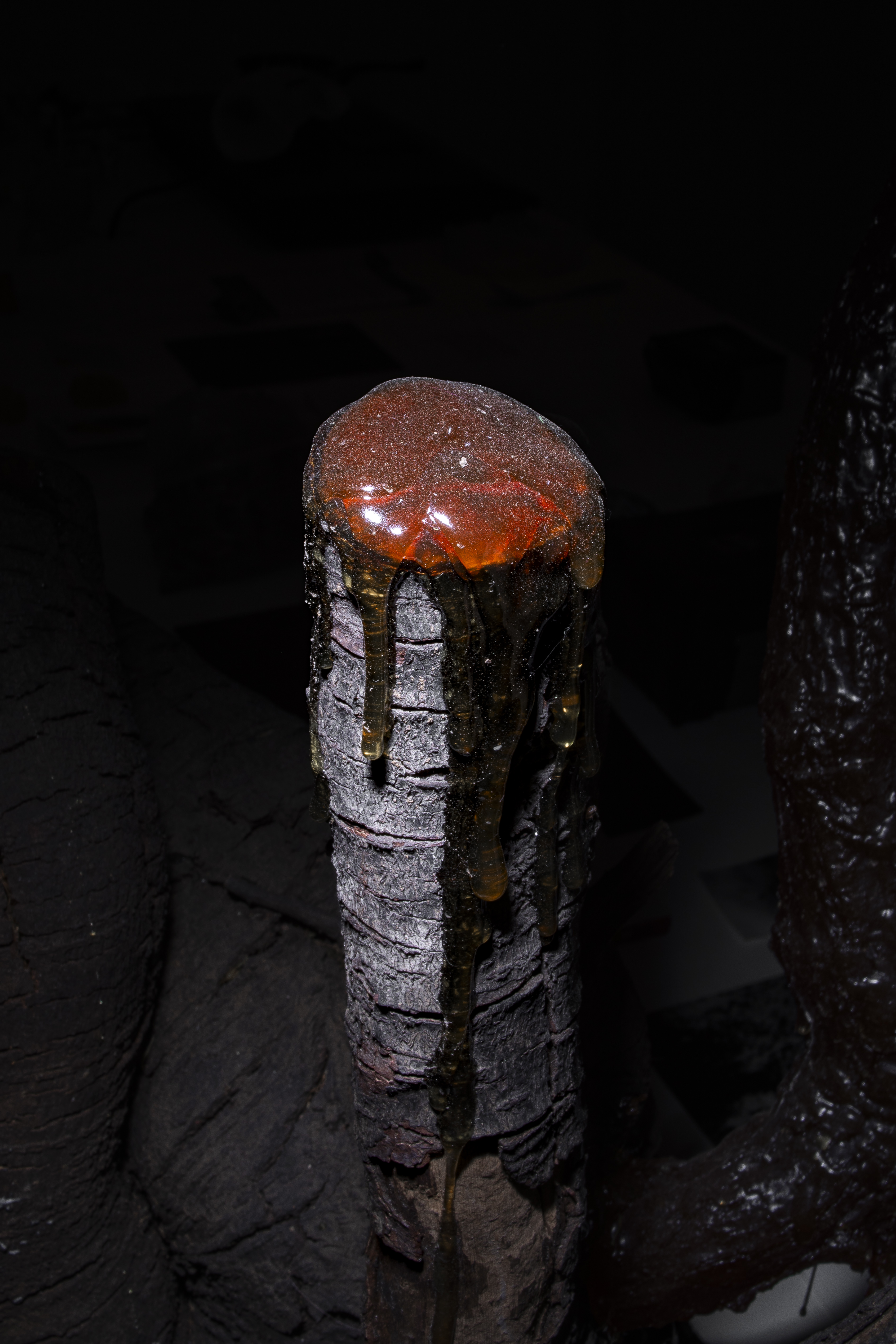 Árbol que exuda, close up 2