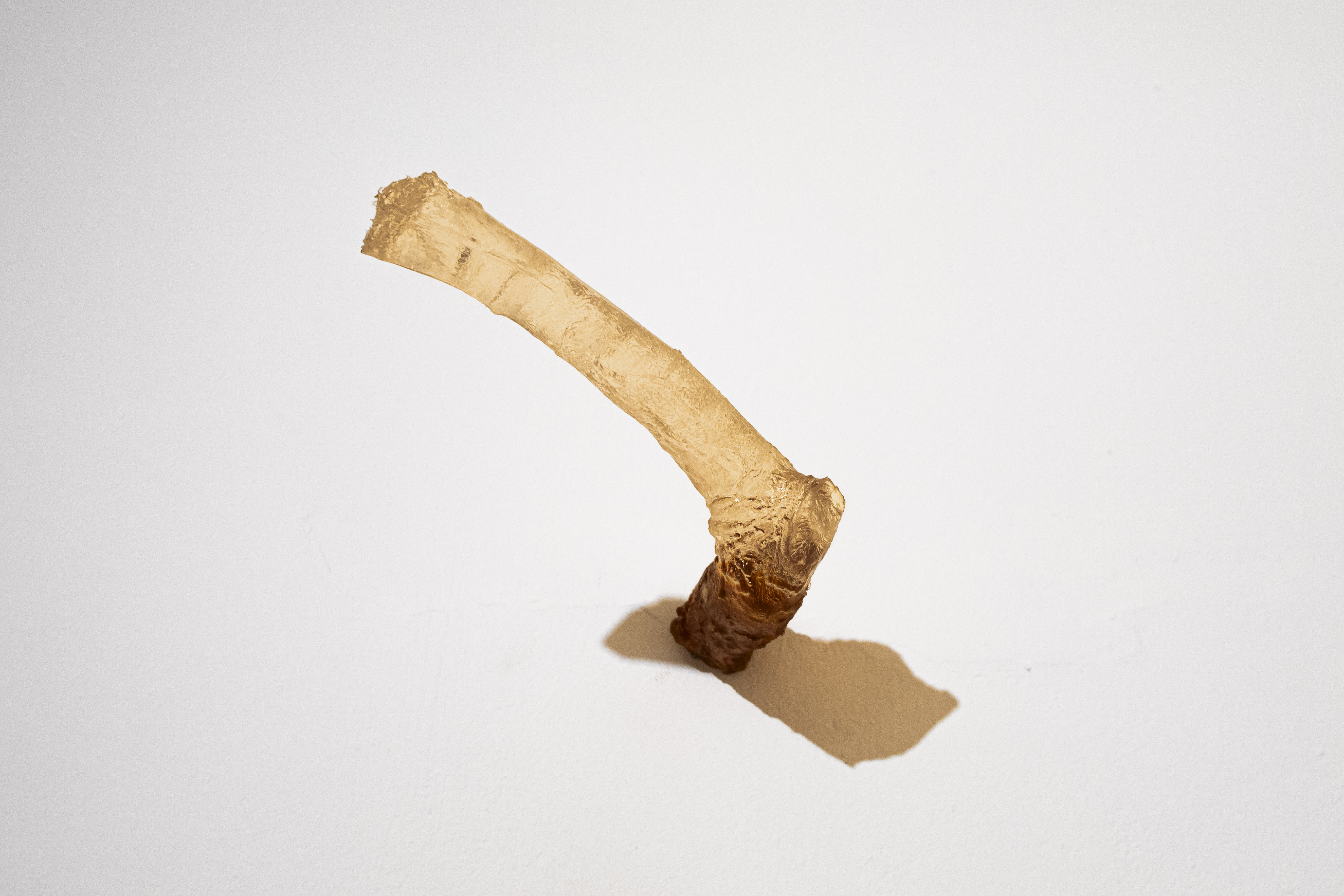 Prótesis de rama, close up 2