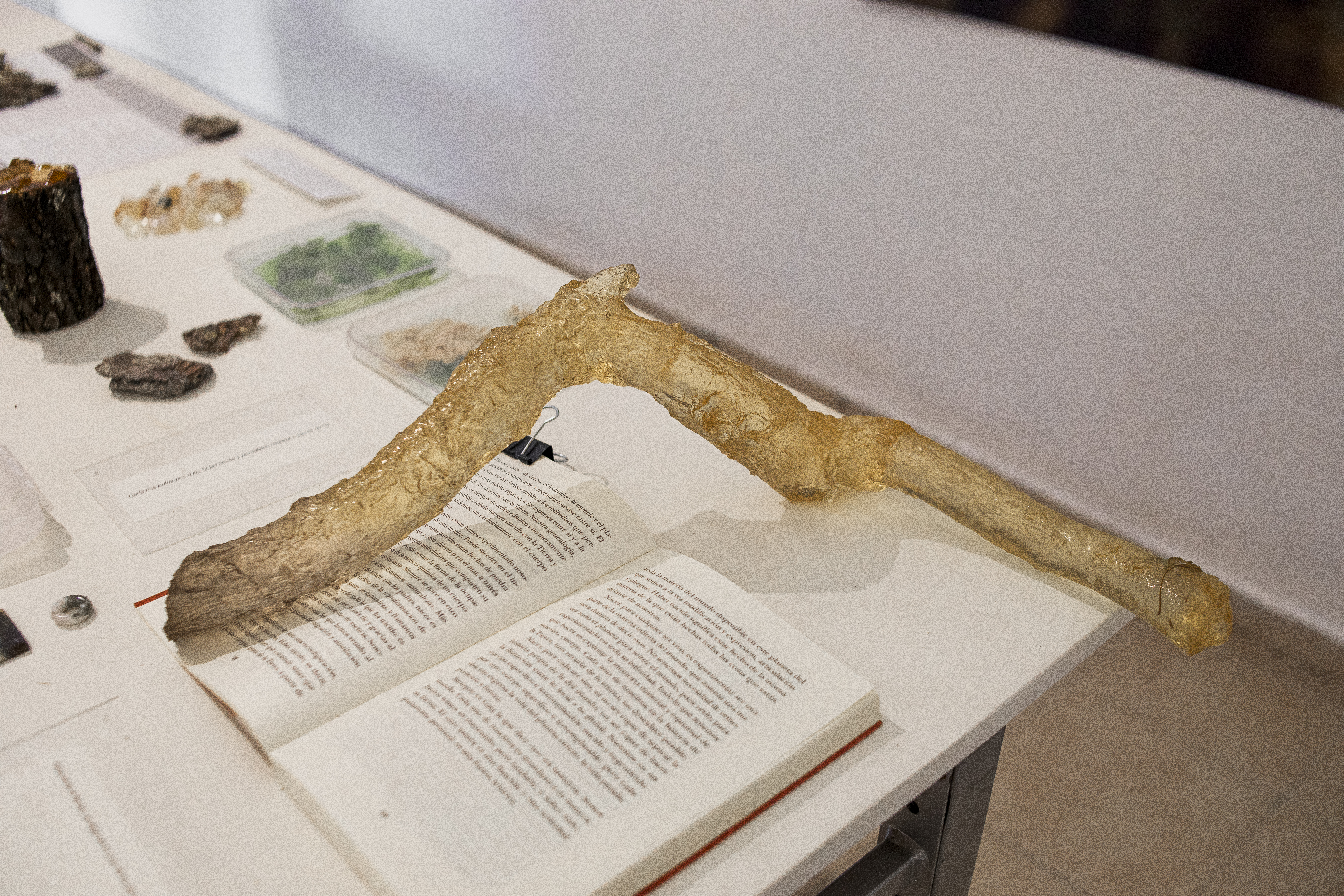 Prótesis de rama, close up 3