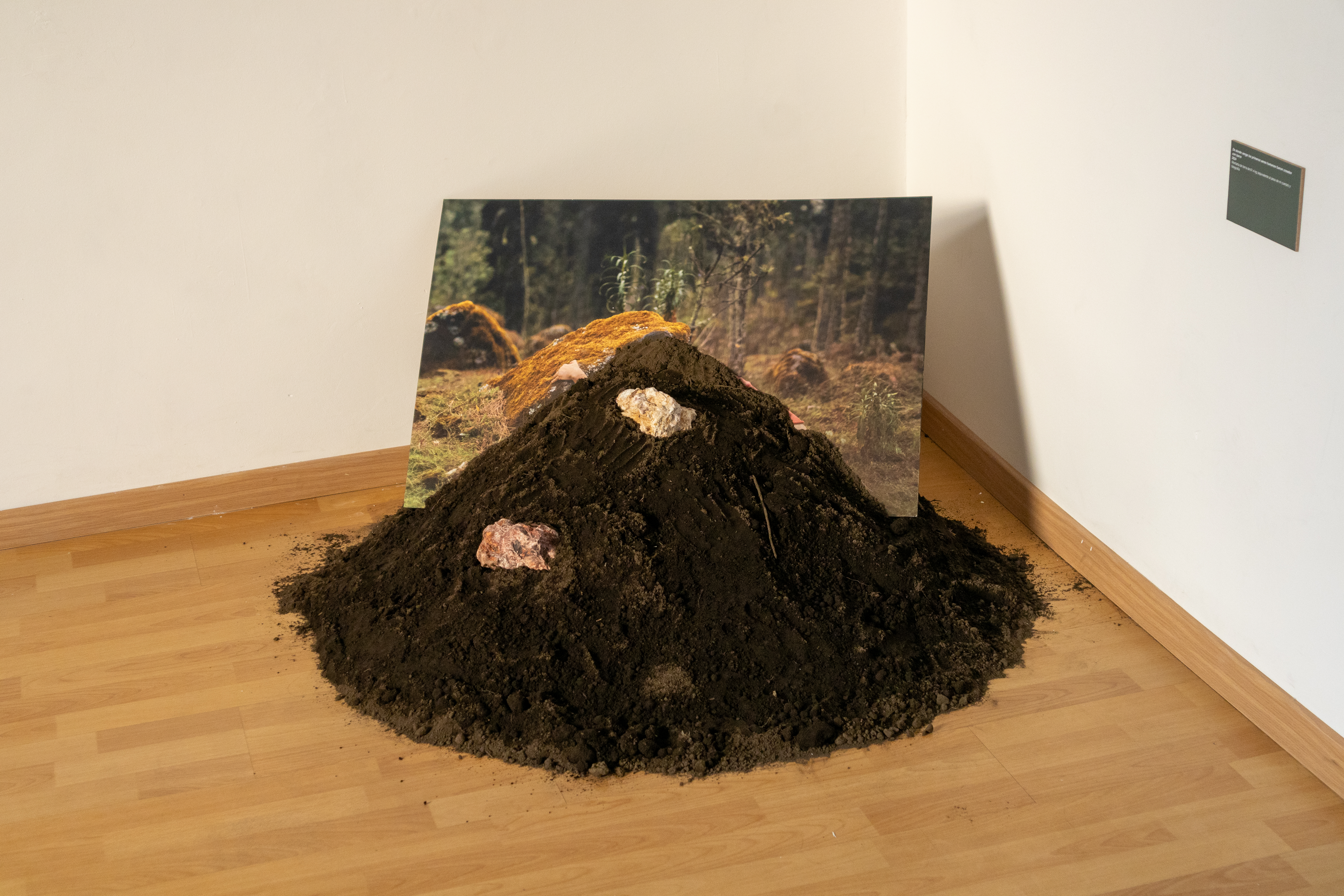 De donde vengo los primeros seres humanos fueron creados con barro