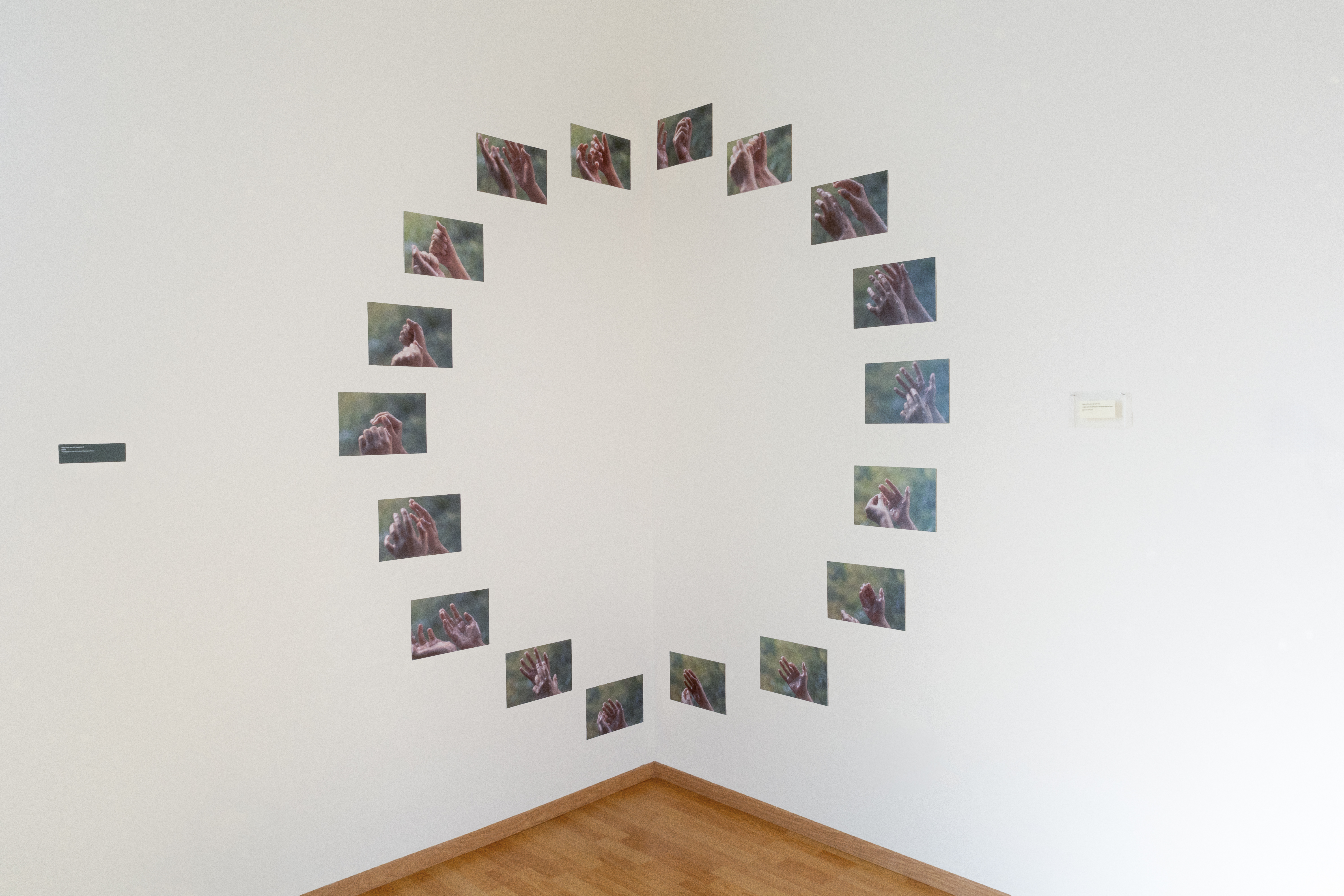 Hay ríos en mi cuerpo II