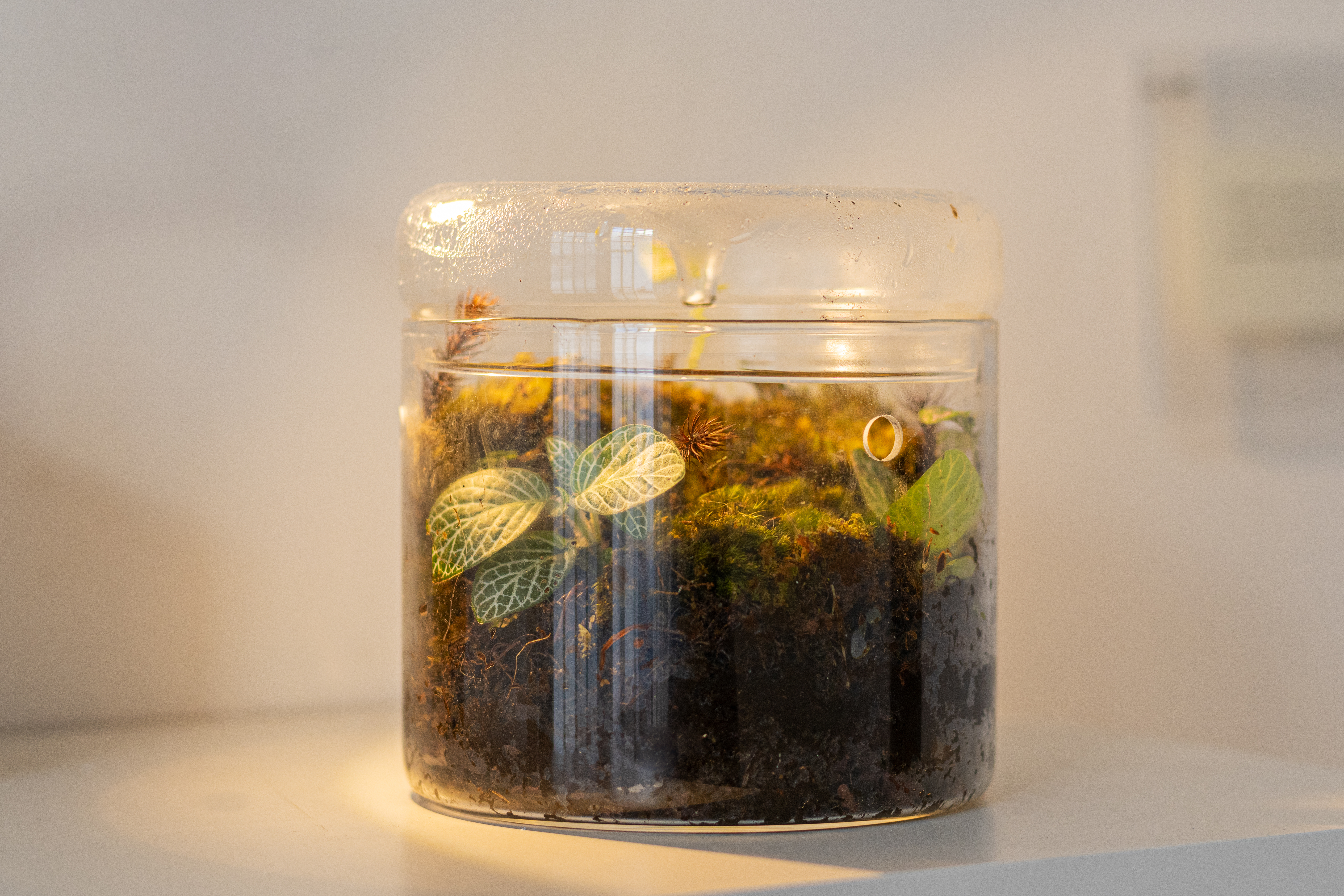 La latencia del aliento