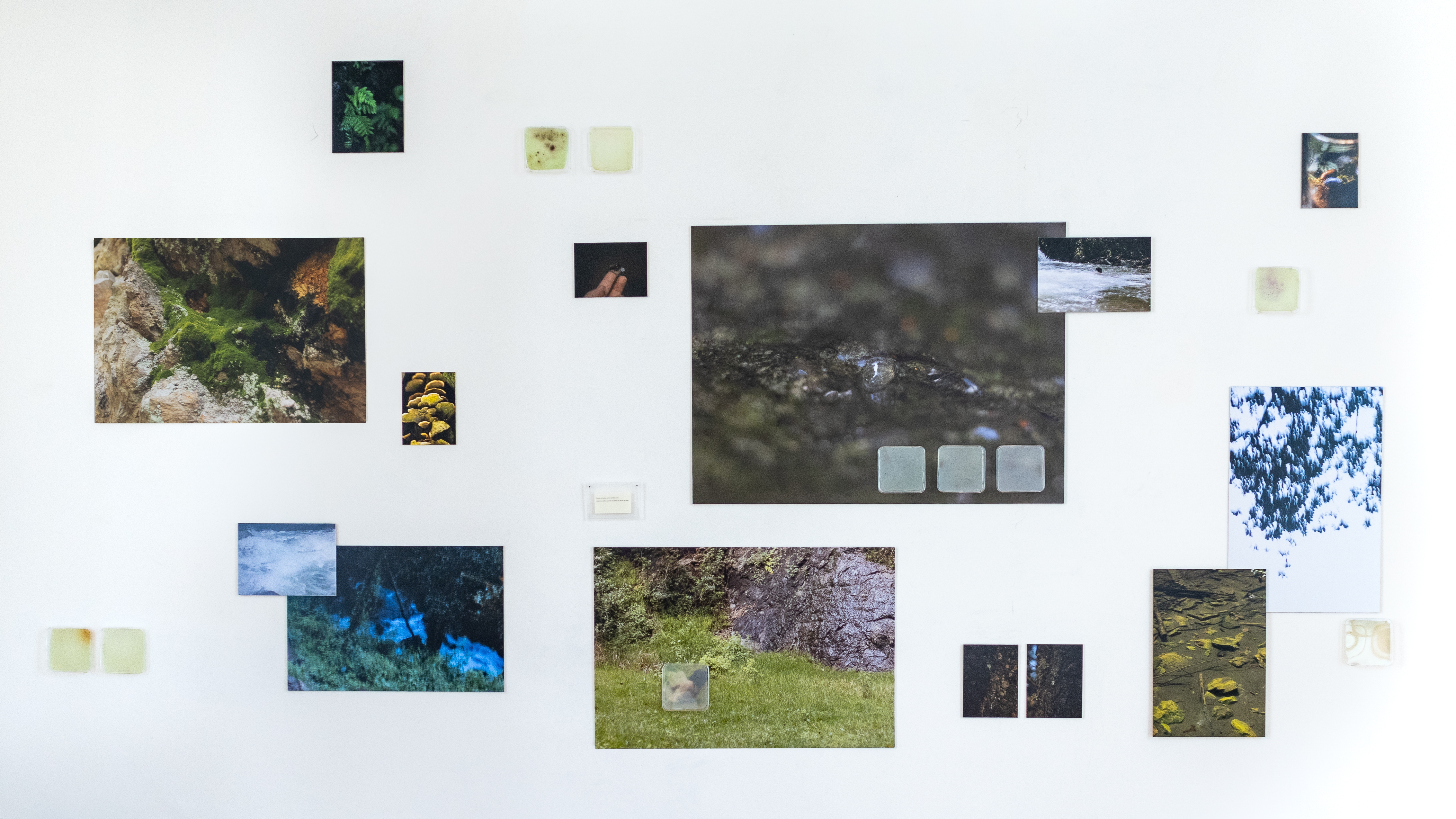 La latencia de mi cuerpo que se convierte en cultivo-cultura