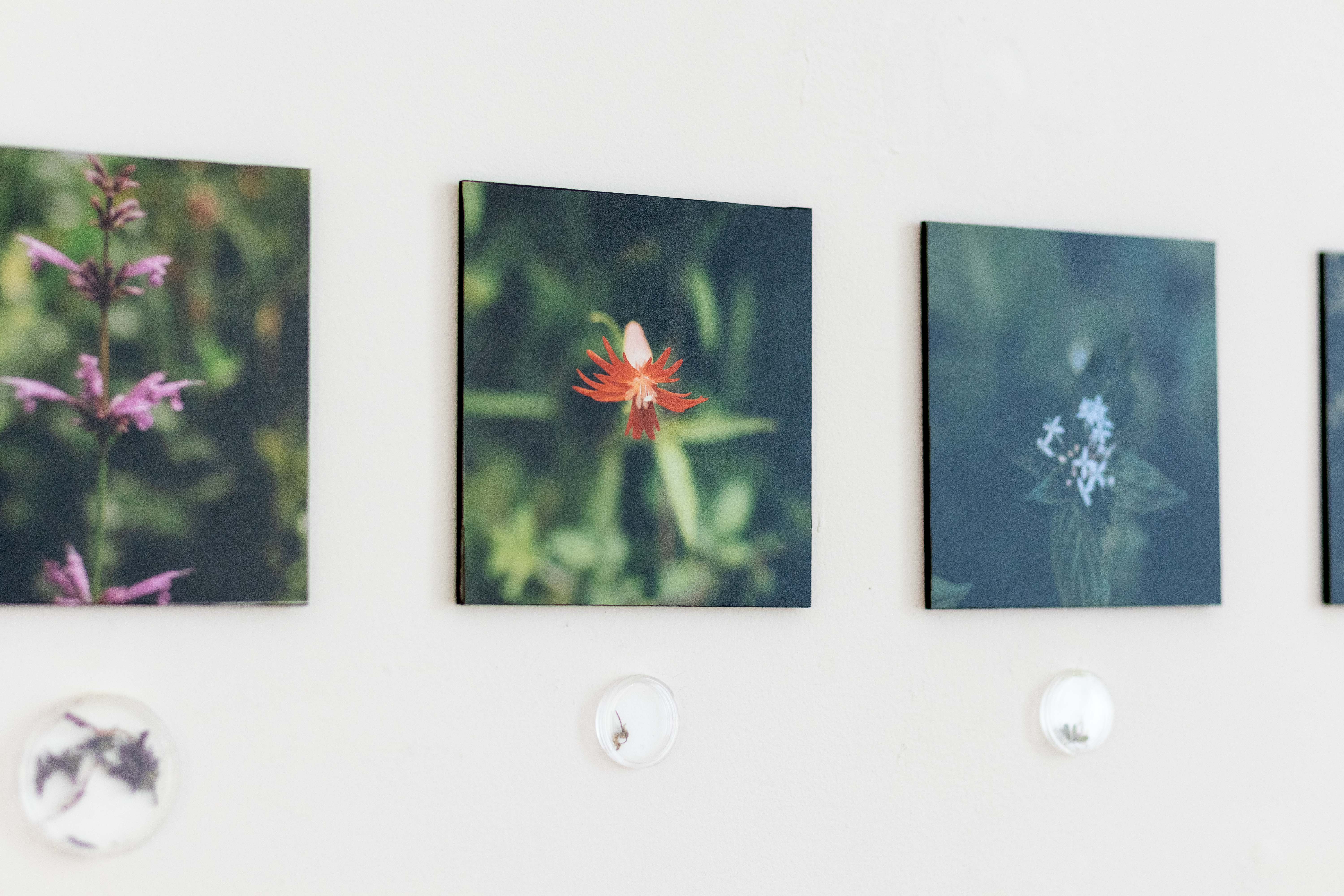 Todas las flores — detalle