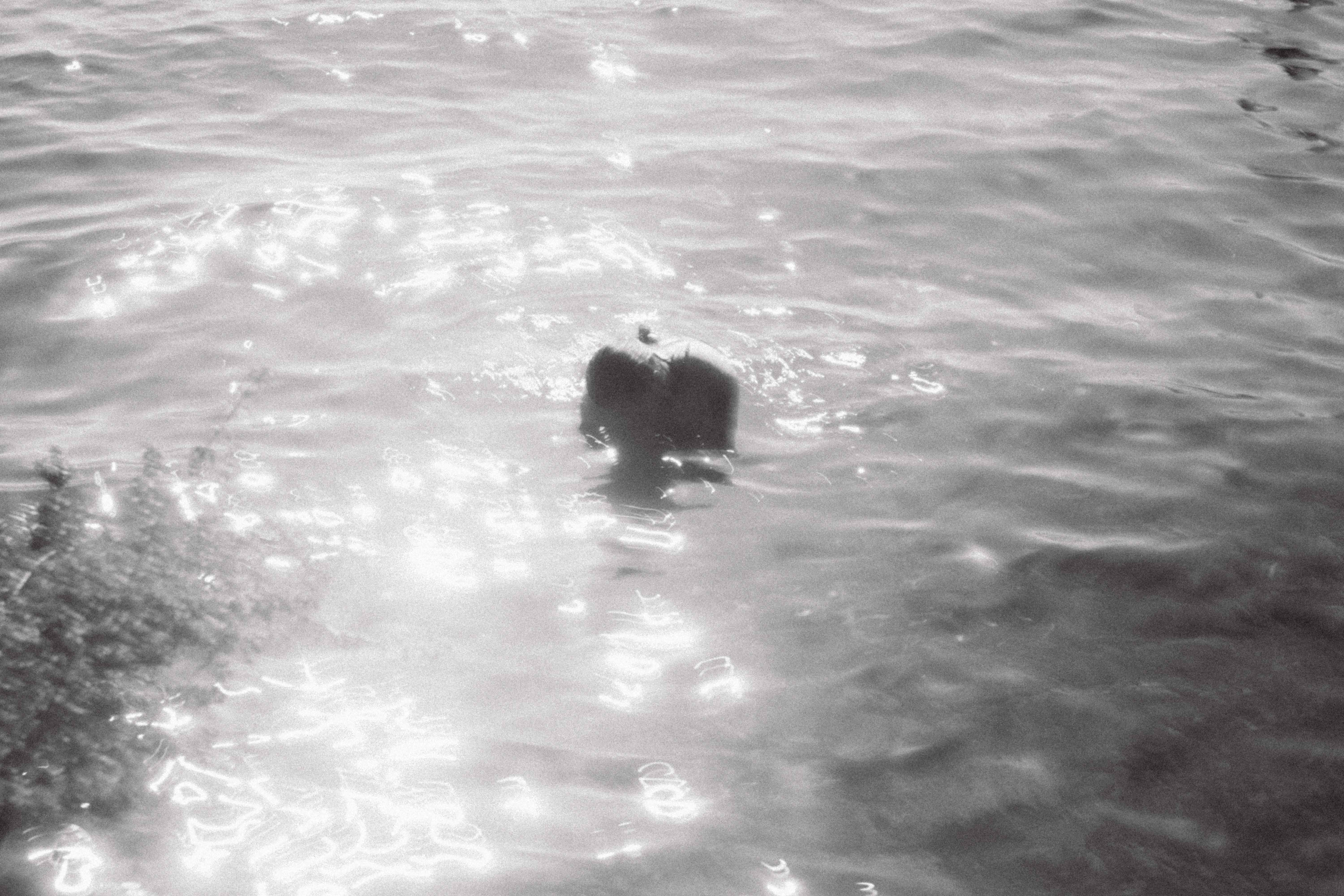 Hay ríos en mi cuerpo 3