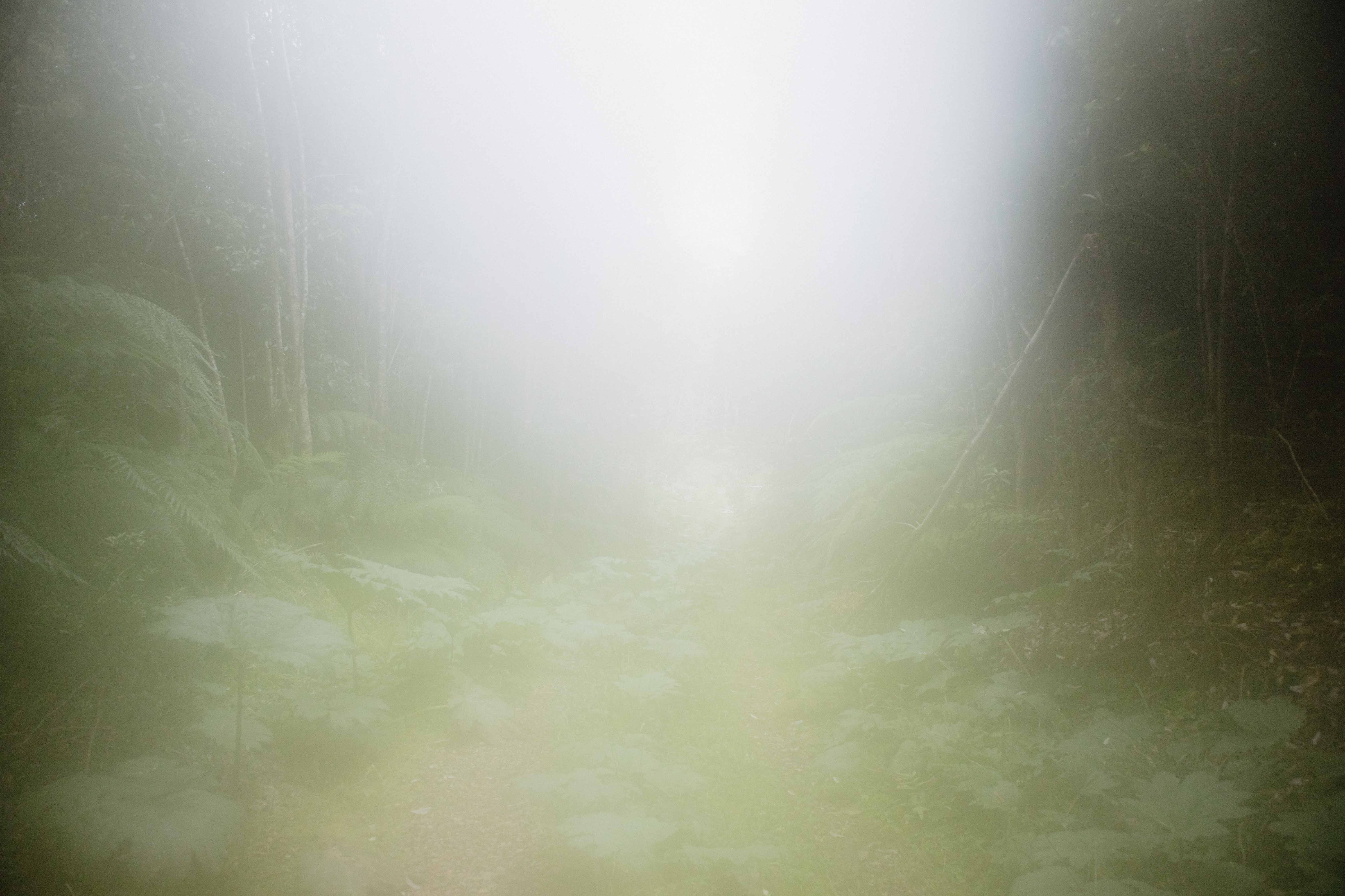 La latencia del aliento 2